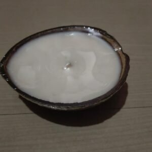 Coconut shell scented candle